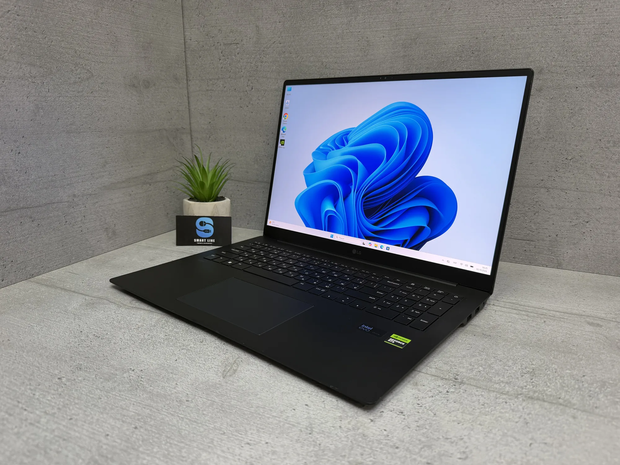 Ноутбук LG Gram 17Z90SP